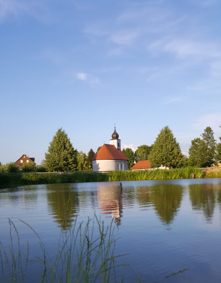 20180610_195921 (1)